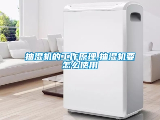 企業新聞抽濕機的工作原理,抽濕機要怎么使用