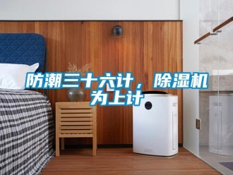 企業(yè)新聞防潮三十六計(jì)，除濕機(jī)為上計(jì)