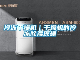 行業新聞冷凍干燥機｜干燥機的冷凍除濕原理