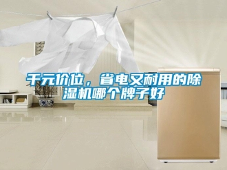 行業新聞千元價位，省電又耐用的除濕機哪個牌子好