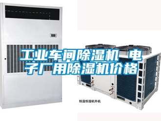 常見問題工業(yè)車間除濕機 電子廠用除濕機價格
