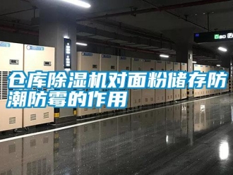企業新聞倉庫除濕機對面粉儲存防潮防霉的作用