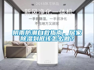 常見問題陰雨防潮自救指南，居家除濕到底該怎么做？