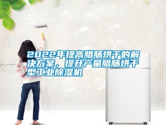 常見問題2022年提高臘腸烘干的解決方案，提升產量臘腸烘干型工業除濕機