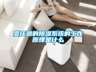企業新聞變壓器的除濕系統的工作原理是什么