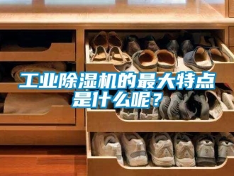 企業新聞工業除濕機的最大特點是什么呢？