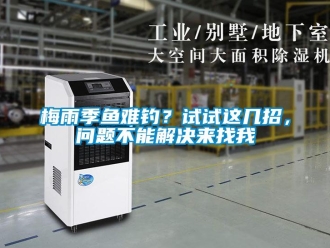 常見問題梅雨季魚難釣？試試這幾招，問題不能解決來找我