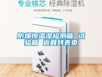 企業新聞防爆恒溫濕檢測箱 試驗箱 返回列表頁