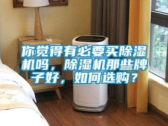行業新聞你覺得有必要買除濕機嗎，除濕機那些牌子好，如何選購？