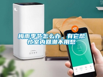 常見問題梅雨季節怎么辦，有它幫忙室內回潮不用愁