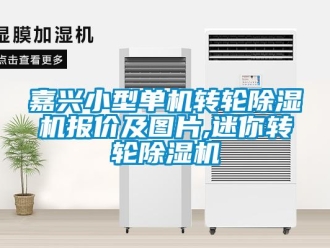 常見問題嘉興小型單機轉輪除濕機報價及圖片,迷你轉輪除濕機