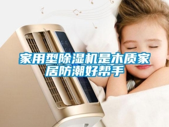 行業(yè)新聞家用型除濕機是木質(zhì)家居防潮好幫手