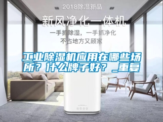 常見問題工業(yè)除濕機應(yīng)用在哪些場所？什么牌子好？_重復(fù)
