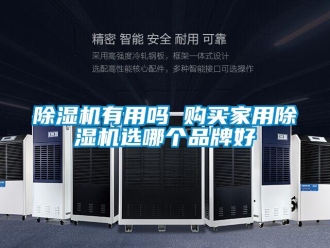 常見問題除濕機有用嗎 購買家用除濕機選哪個品牌好