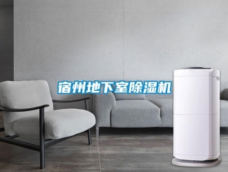 行業新聞宿州地下室除濕機