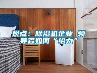 常見問題觀點(diǎn)：除濕機(jī)企業(yè) 領(lǐng)導(dǎo)者如何“給力”