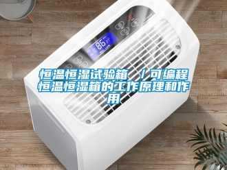 知識百科恒溫恒濕試驗箱 ／可編程恒溫恒濕箱的工作原理和作用