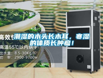 企業新聞潮濕的木頭長木耳，寒濕的體質長腫瘤！