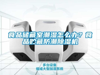 行業新聞食品儲藏室潮濕怎么辦？食品貯藏防潮除濕機