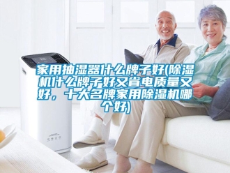 常見問題家用抽濕器什么牌子好(除濕機什么牌子好又省電質量又好，十大名牌家用除濕機哪個好)