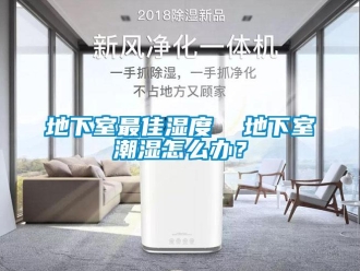 企業新聞地下室最佳濕度  地下室潮濕怎么辦？