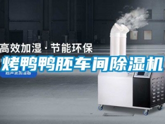 企業新聞烤鴨鴨胚車間除濕機