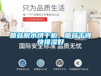 行業(yè)新聞菌菇脫水烘干機(jī)，菌菇干得快排濕好