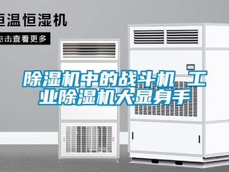 常見問題除濕機中的戰斗機 工業除濕機大顯身手