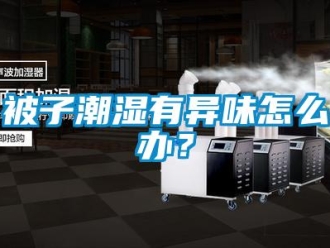 常見問題被子潮濕有異味怎么辦？