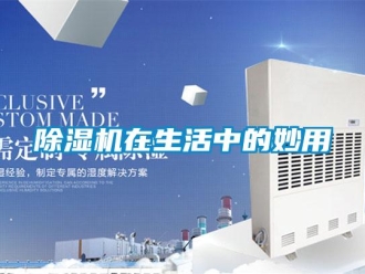 企業(yè)新聞除濕機在生活中的妙用
