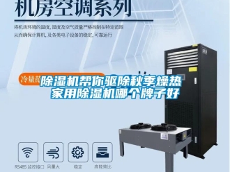 常見問題除濕機幫你驅除秋季燥熱 家用除濕機哪個牌子好