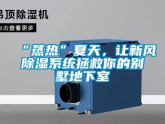 企業(yè)新聞“蒸熱”夏天，讓新風(fēng)除濕系統(tǒng)拯救你的別墅地下室