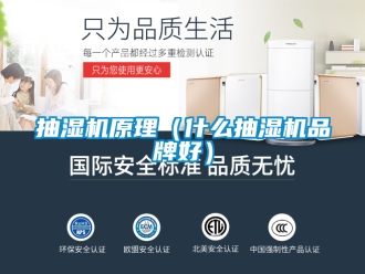 企業新聞抽濕機原理（什么抽濕機品牌好）