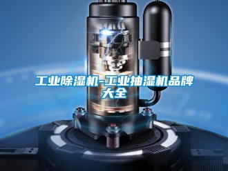 常見問題工業(yè)除濕機-工業(yè)抽濕機品牌大全