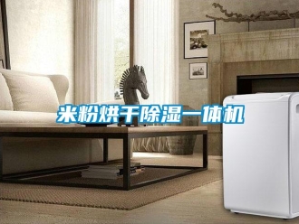 行業新聞米粉烘干除濕一體機