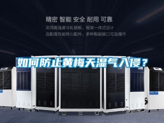 常見問題如何防止黃梅天濕氣入侵？