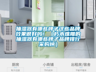 企業(yè)新聞抽濕器有哪些牌子這些品牌效果很好嗎！（朽木難雕的抽濕器有哪些牌子品牌排行采購榜）