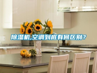 常見問題除濕機,空調到底有何區別？