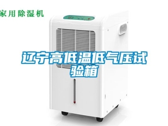 常見問題遼寧高低溫低氣壓試驗箱