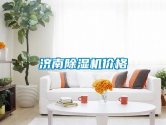 企業(yè)新聞濟(jì)南除濕機(jī)價(jià)格