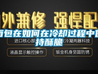 常見問題面包在如何在冷卻過程中保持酥脆