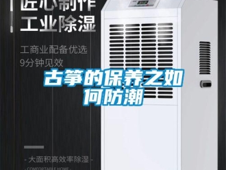 常見問題古箏的保養之如何防潮