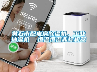 常見問題黃石市配電房除濕機(jī)，工業(yè)抽濕機(jī)  恒溫恒濕非標(biāo)機(jī)器
