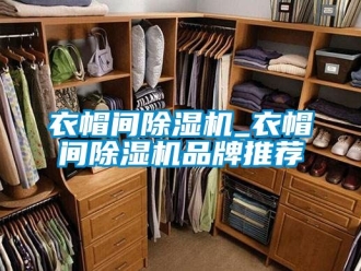 企業(yè)新聞衣帽間除濕機_衣帽間除濕機品牌推薦
