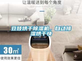 行業新聞豆豉烘干除濕機，自動排濕烘干快