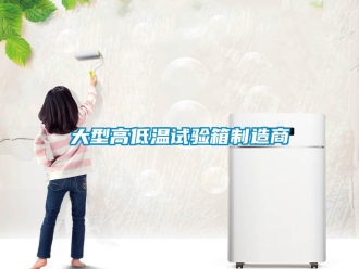 常見問題大型高低溫試驗箱制造商