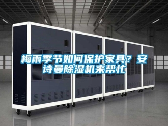 企業新聞梅雨季節如何保護家具？安詩曼除濕機來幫忙