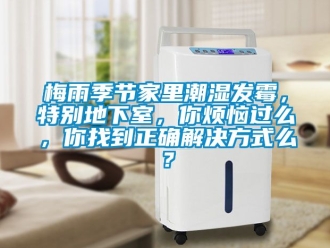 企業(yè)新聞梅雨季節(jié)家里潮濕發(fā)霉，特別地下室，你煩惱過么，你找到正確解決方式么？