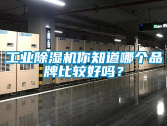 常見問題工業除濕機你知道哪個品牌比較好嗎？
