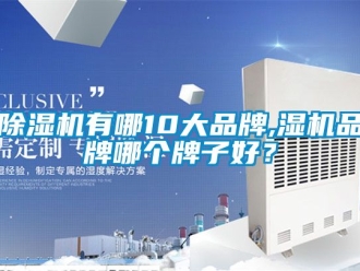企業新聞除濕機有哪10大品牌,濕機品牌哪個牌子好？